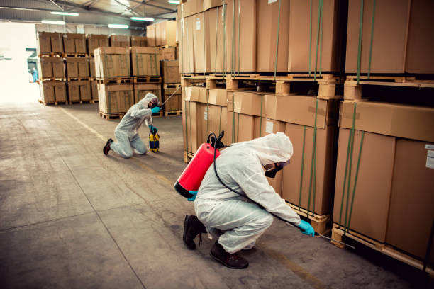Best Pest Control Near Me  in Belmond, IA