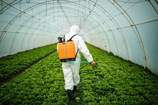 Best Pest Control Treatment  in Belmond, IA