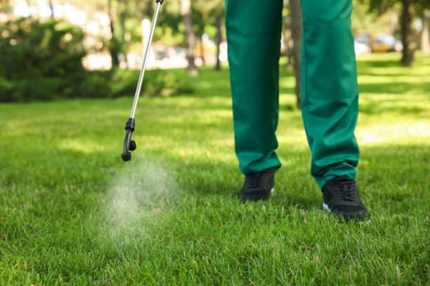 Best Affordable Pest Control Services  in Belmond, IA