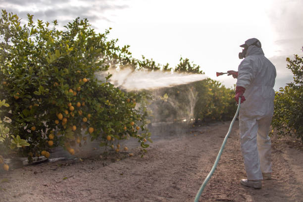 Best Residential Pest Control  in Belmond, IA