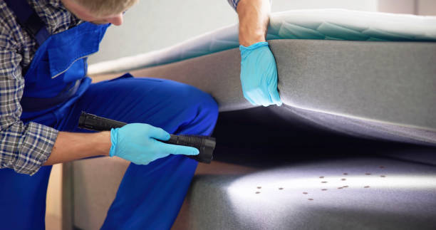 Best Pest Prevention Services  in Belmond, IA