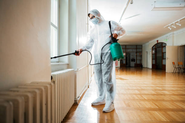Reliable Belmond, IA Pest Control Solutions