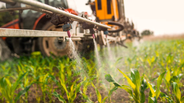 Best Residential Pest Control  in Belmond, IA